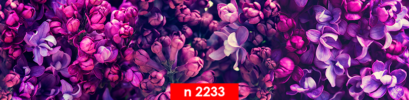 n 2233